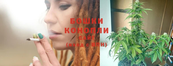 ГАЛЛЮЦИНОГЕННЫЕ ГРИБЫ Арсеньев