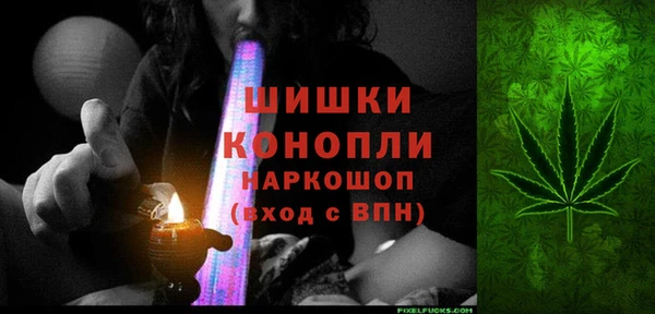 ГАЛЛЮЦИНОГЕННЫЕ ГРИБЫ Арсеньев